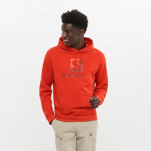 Sudadera Con Capucha Salomon Outlife Logo Summer Hombre Rojos | MX MSEV354